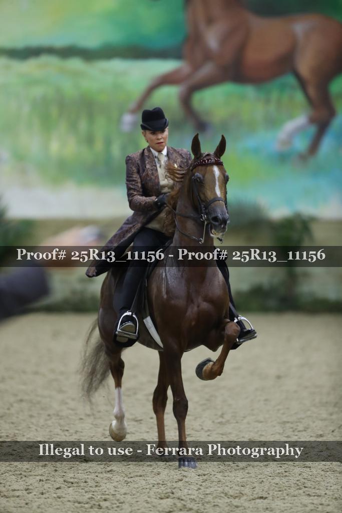 Proof 25R13_11156