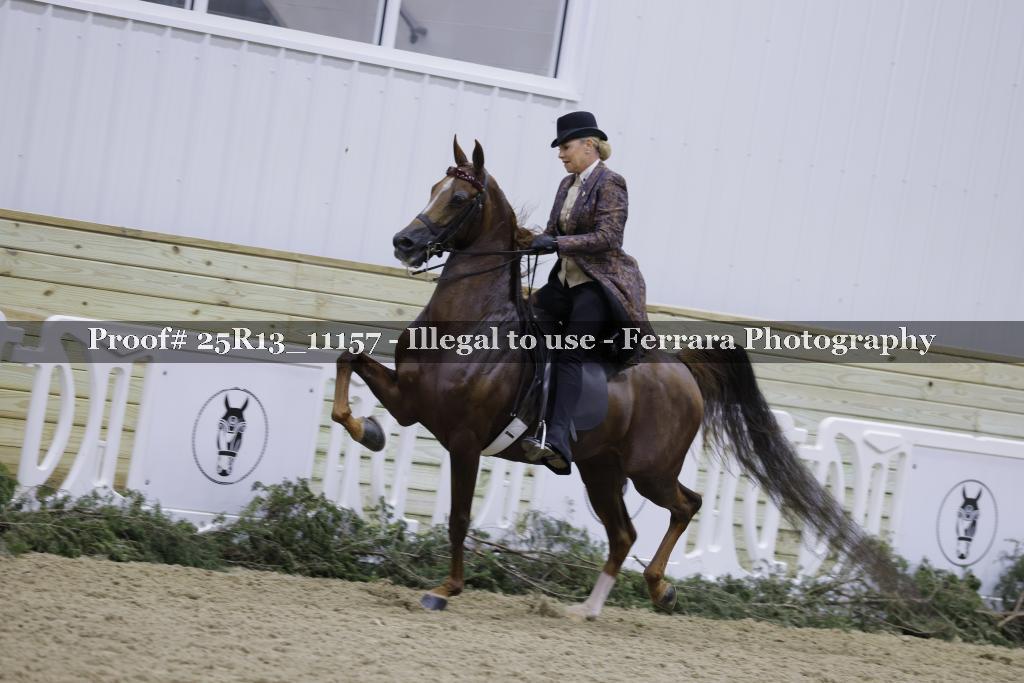 Proof 25R13_11157