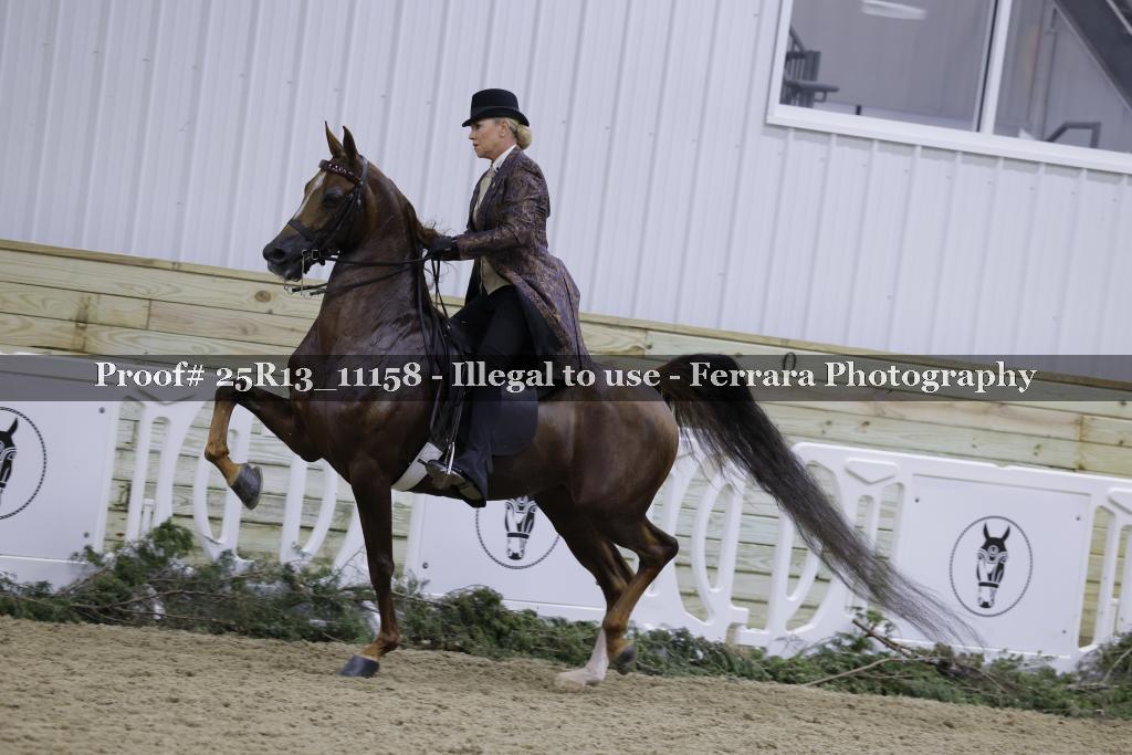 Proof 25R13_11158