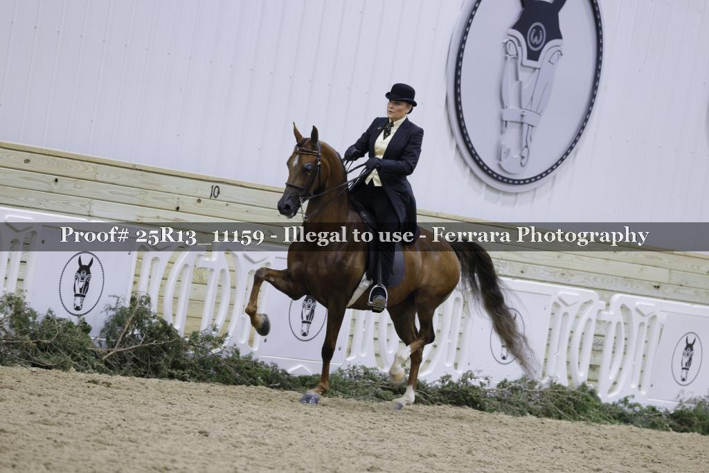 Proof 25R13_11159