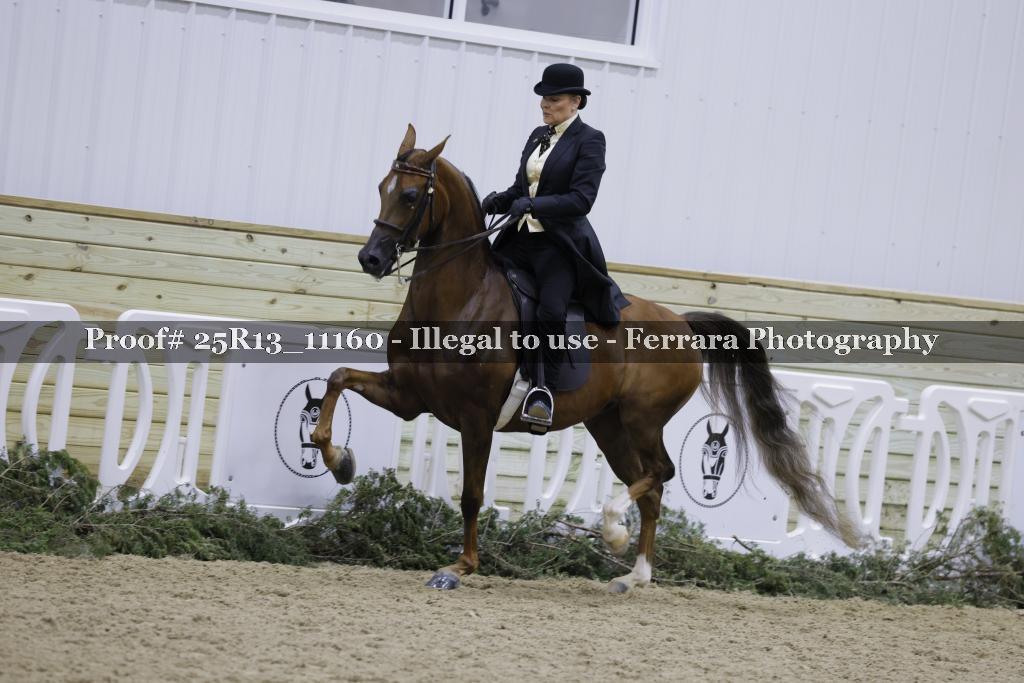 Proof 25R13_11160