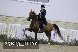 25R13_11160 proof