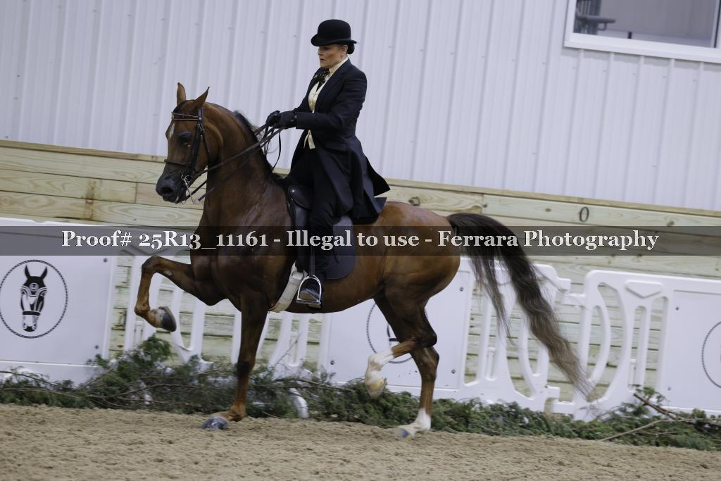 Proof 25R13_11161