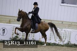25R13_11161 proof