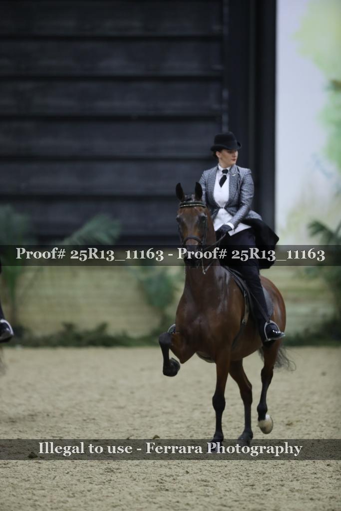 Proof 25R13_11163