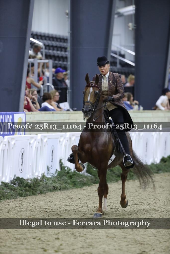 Proof 25R13_11164