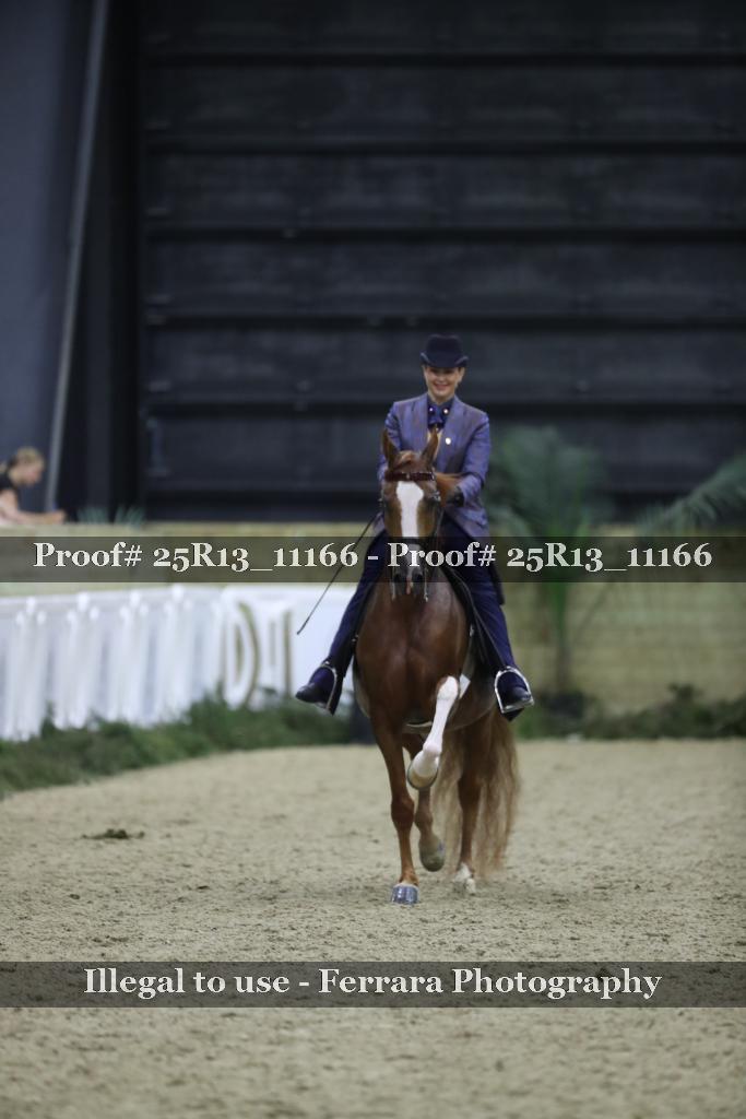 Proof 25R13_11166