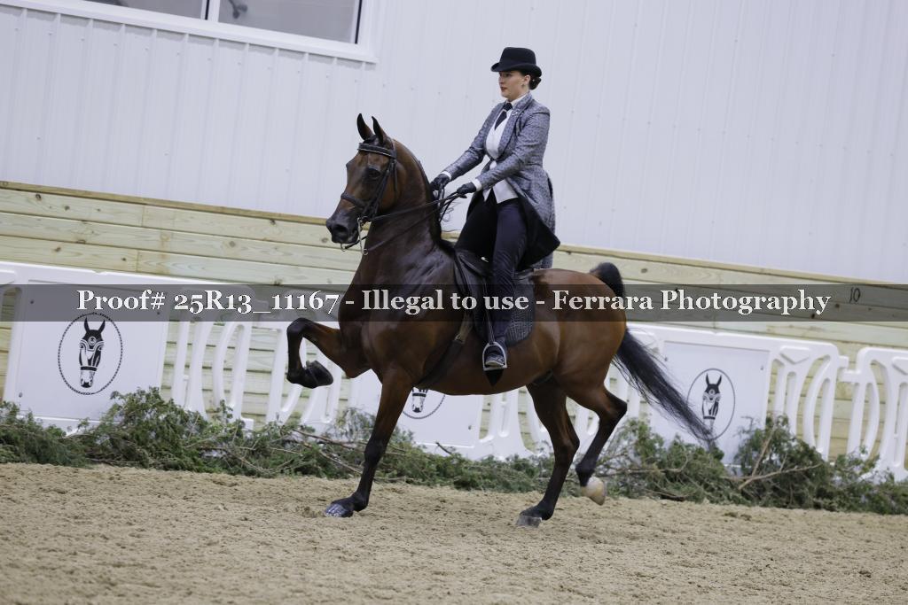 Proof 25R13_11167