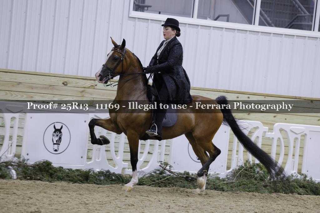 Proof 25R13_11169