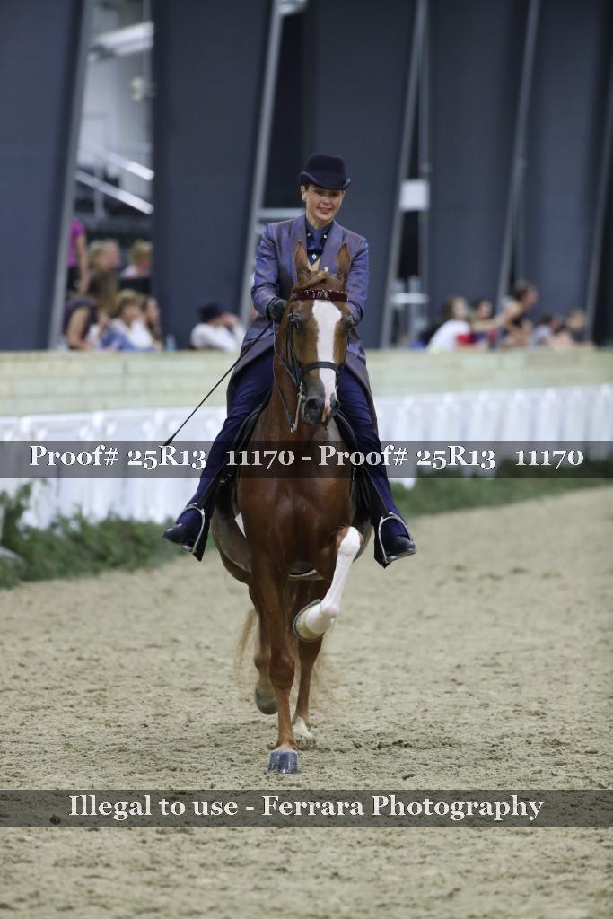 Proof 25R13_11170