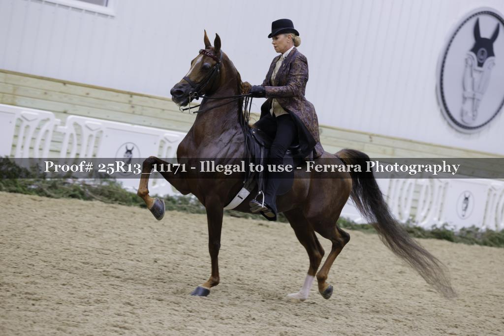 Proof 25R13_11171