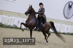 25R13_11171 proof