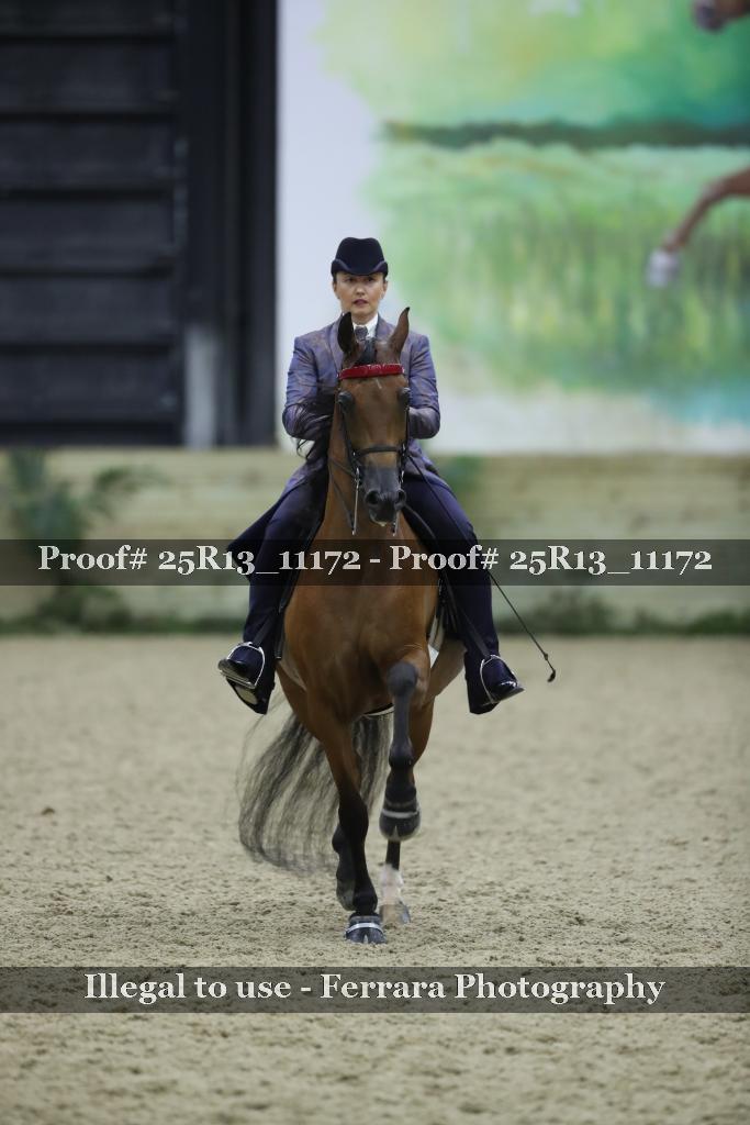 Proof 25R13_11172