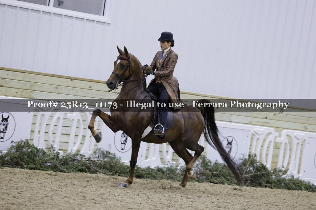 Proof 25R13_11173