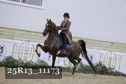 25R13_11173 proof