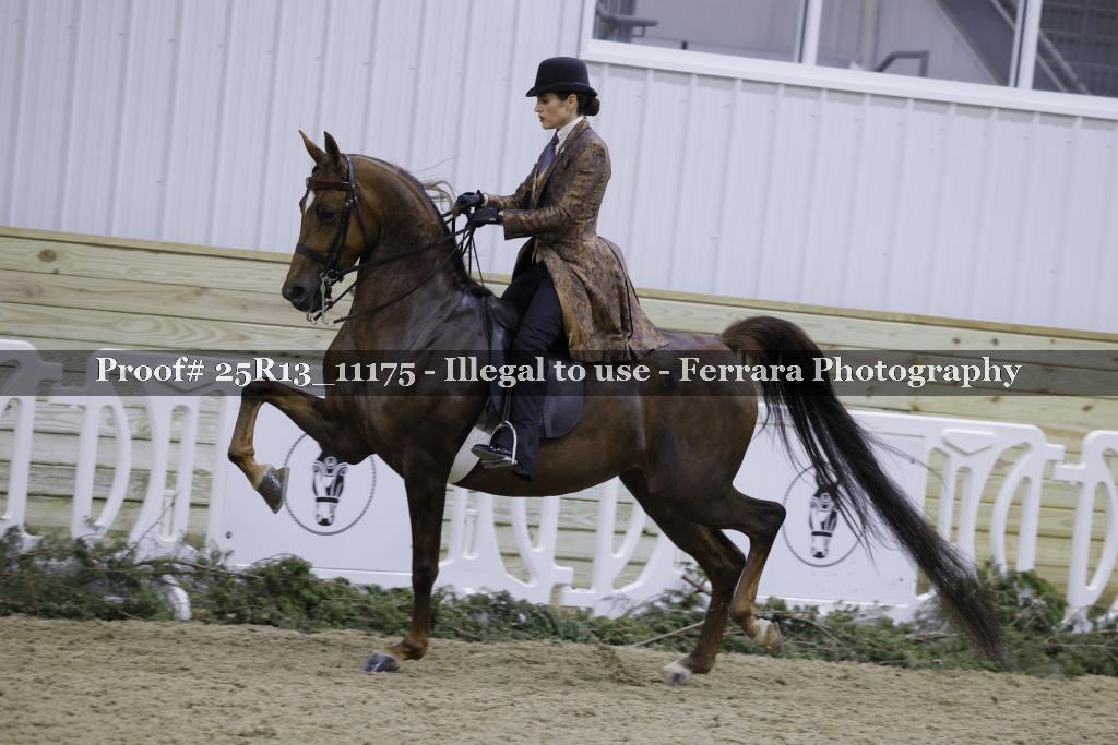 Proof 25R13_11175