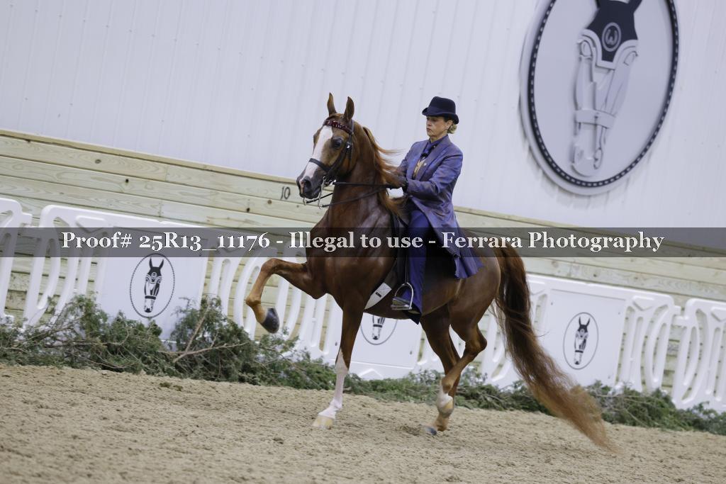 Proof 25R13_11176