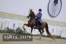25R13_11176 proof