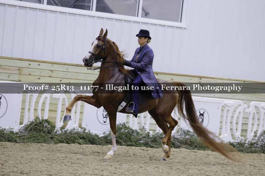 Proof 25R13_11177