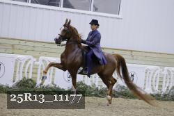 25R13_11177 proof