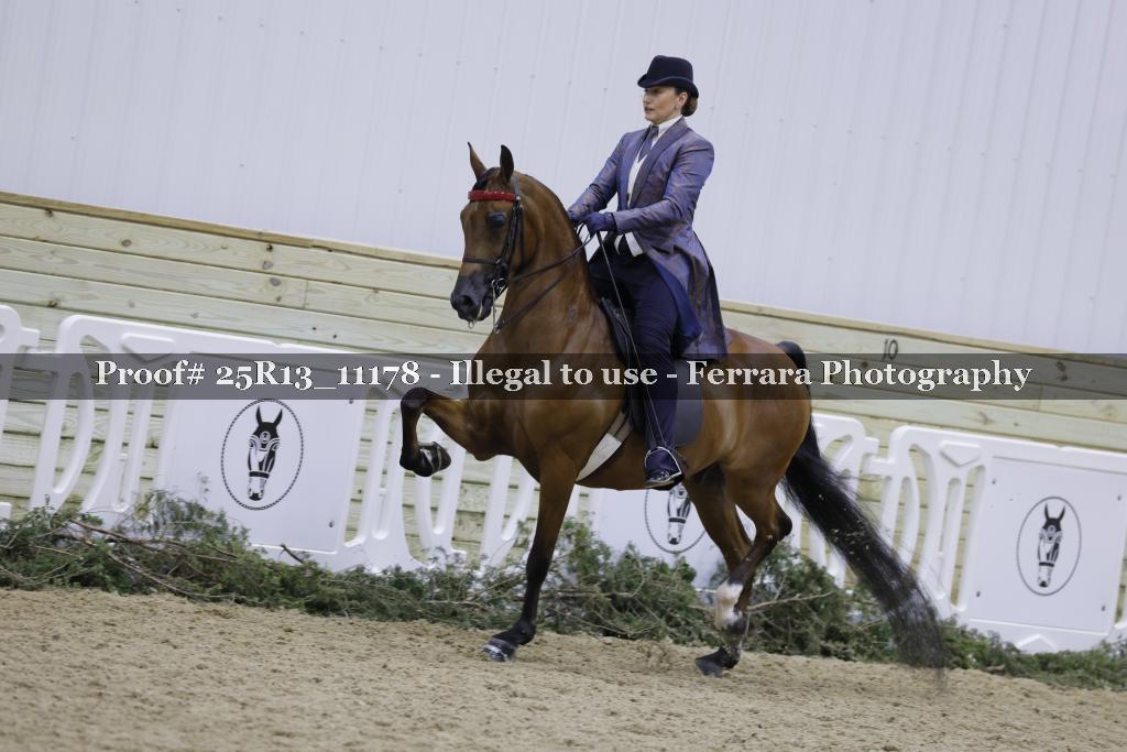 Proof 25R13_11178