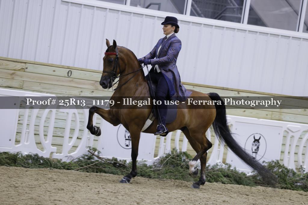 Proof 25R13_11179