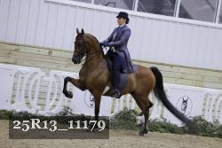 25R13_11179 proof