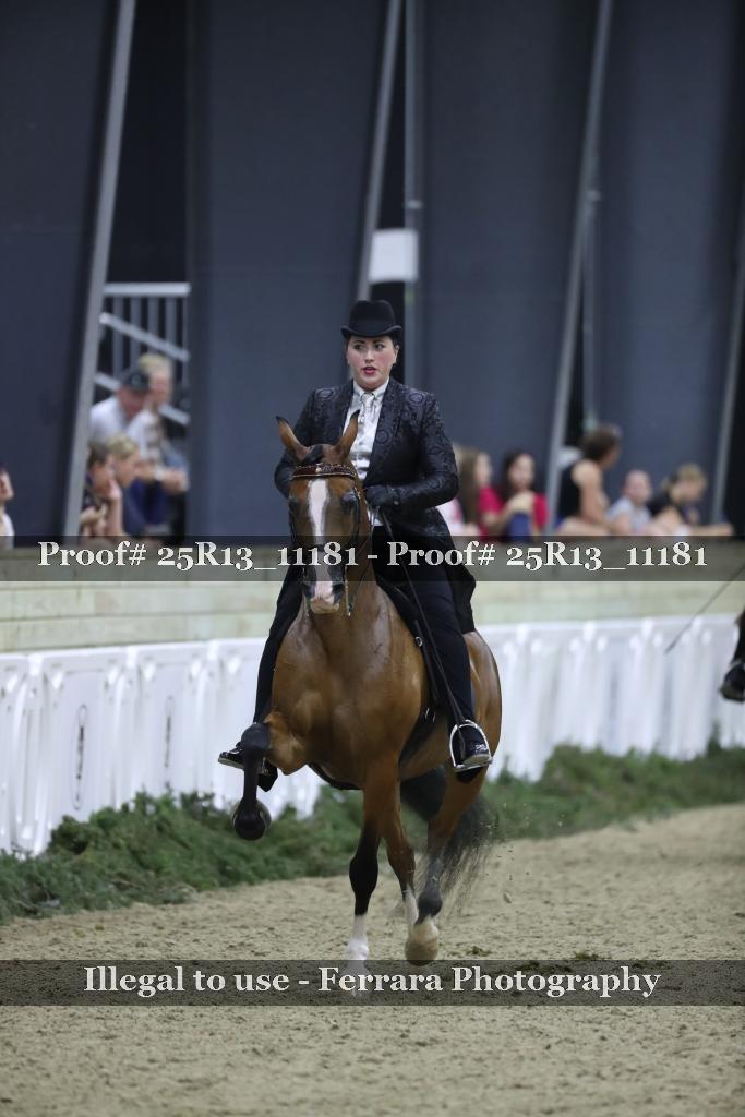 Proof 25R13_11181