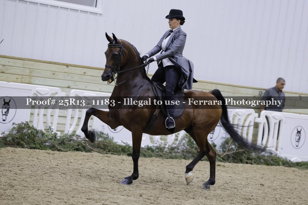 Proof 25R13_11183