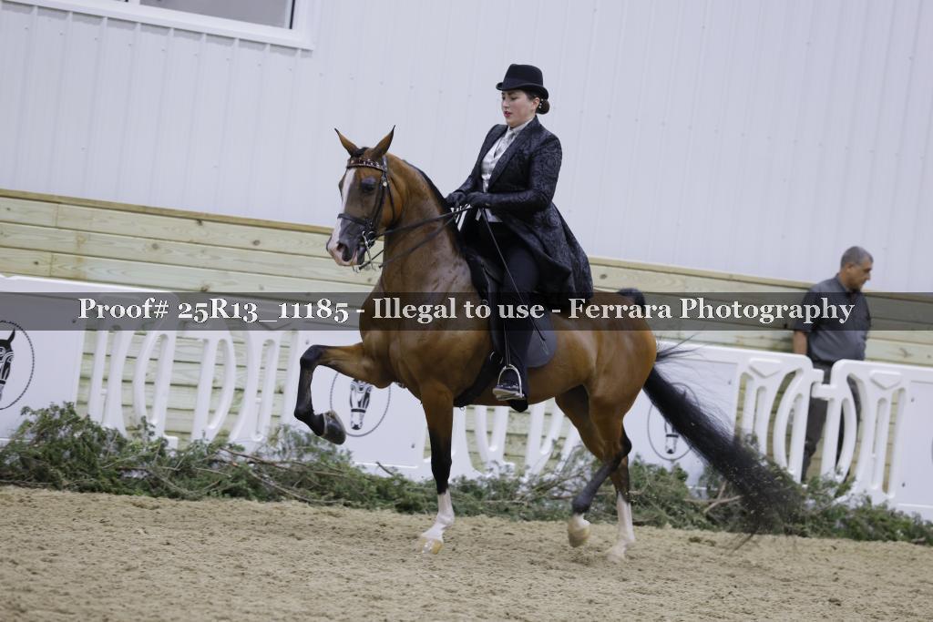 Proof 25R13_11185