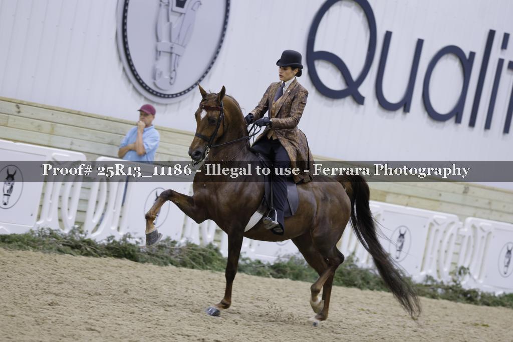 Proof 25R13_11186