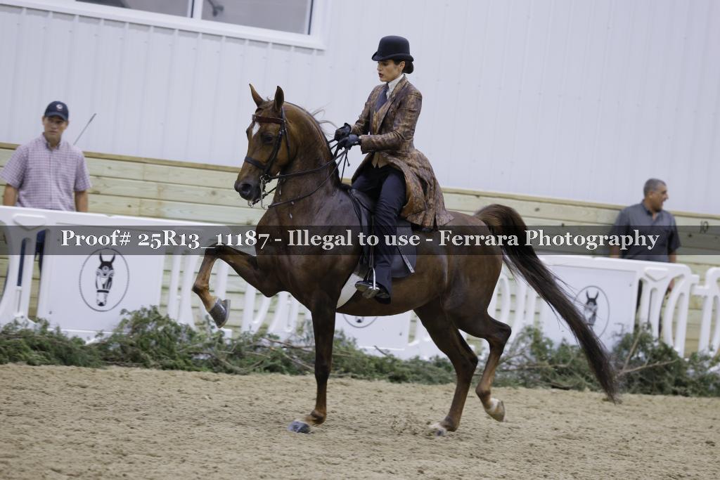 Proof 25R13_11187