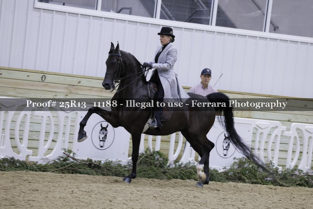 Proof 25R13_11188