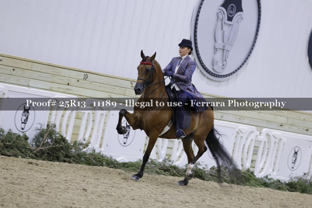 Proof 25R13_11189