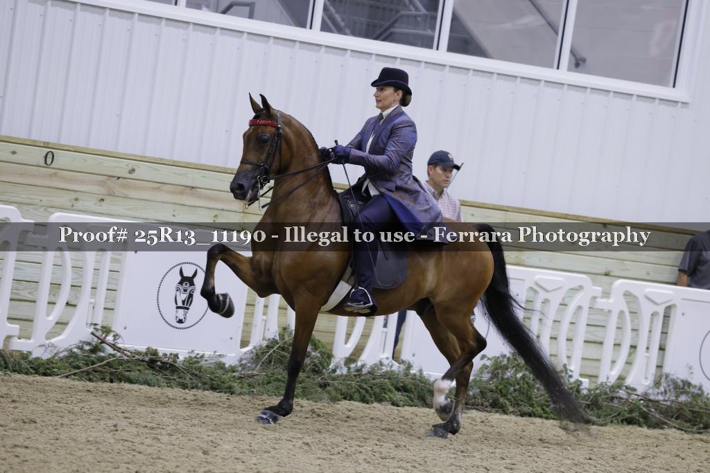 Proof 25R13_11190