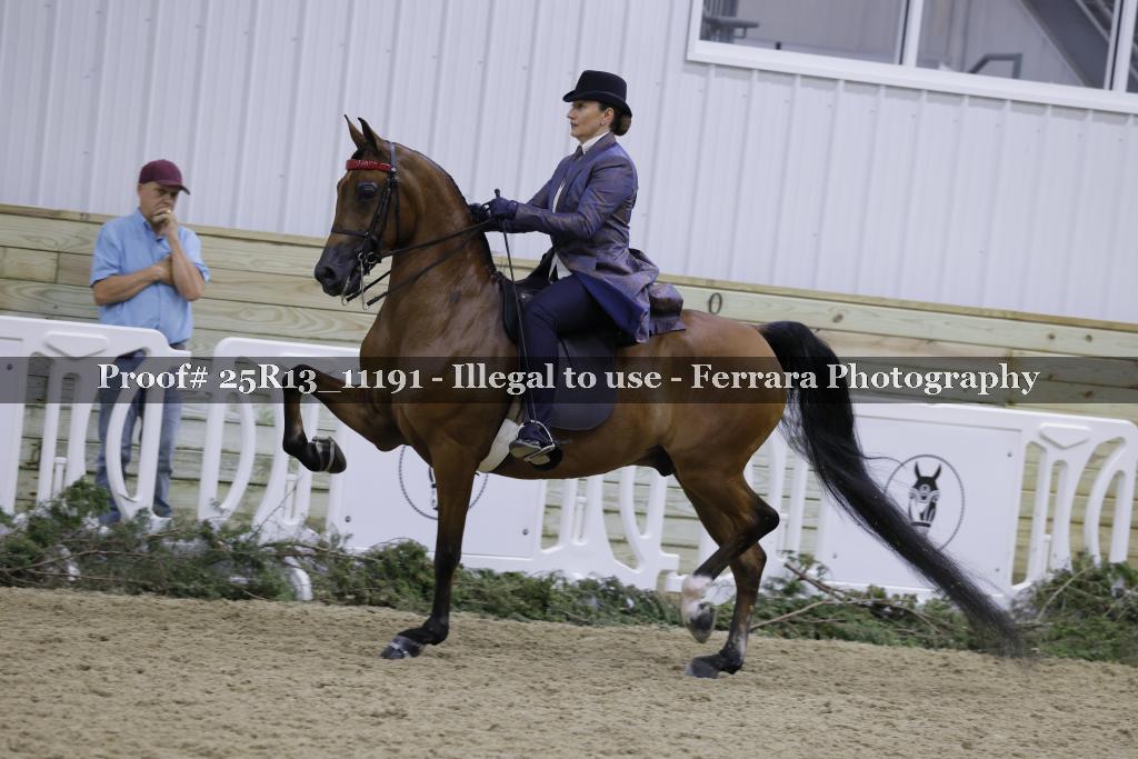 Proof 25R13_11191