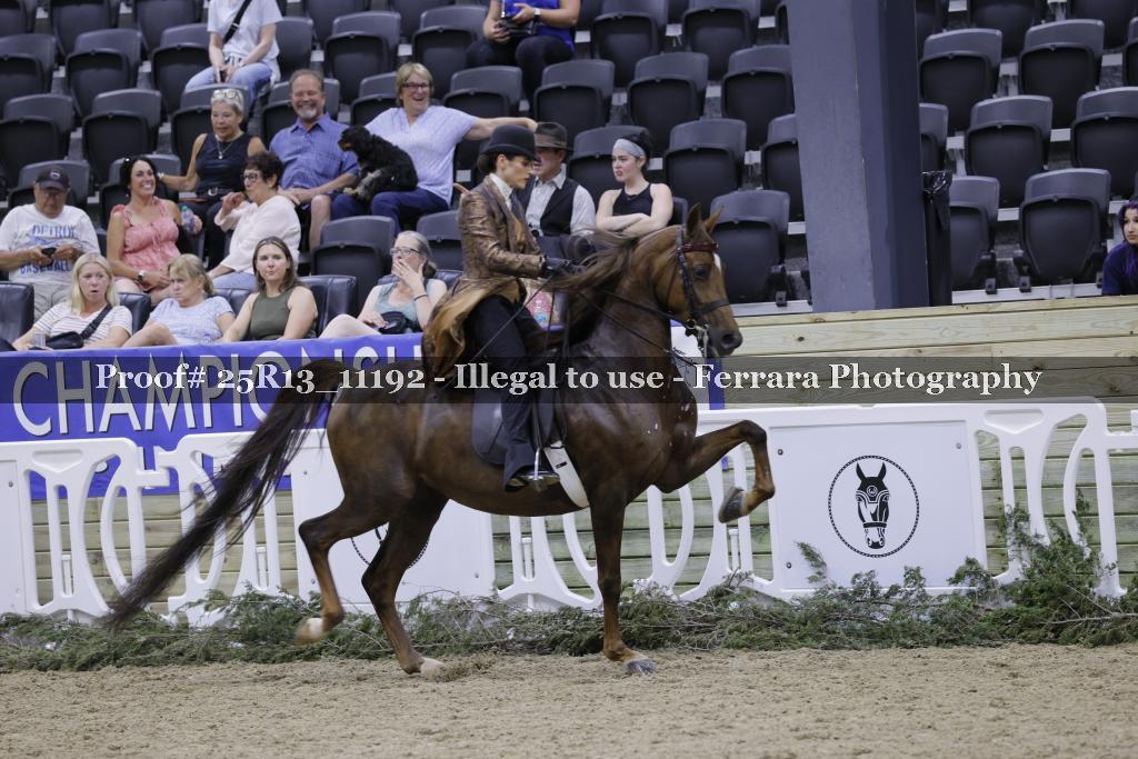 Proof 25R13_11192