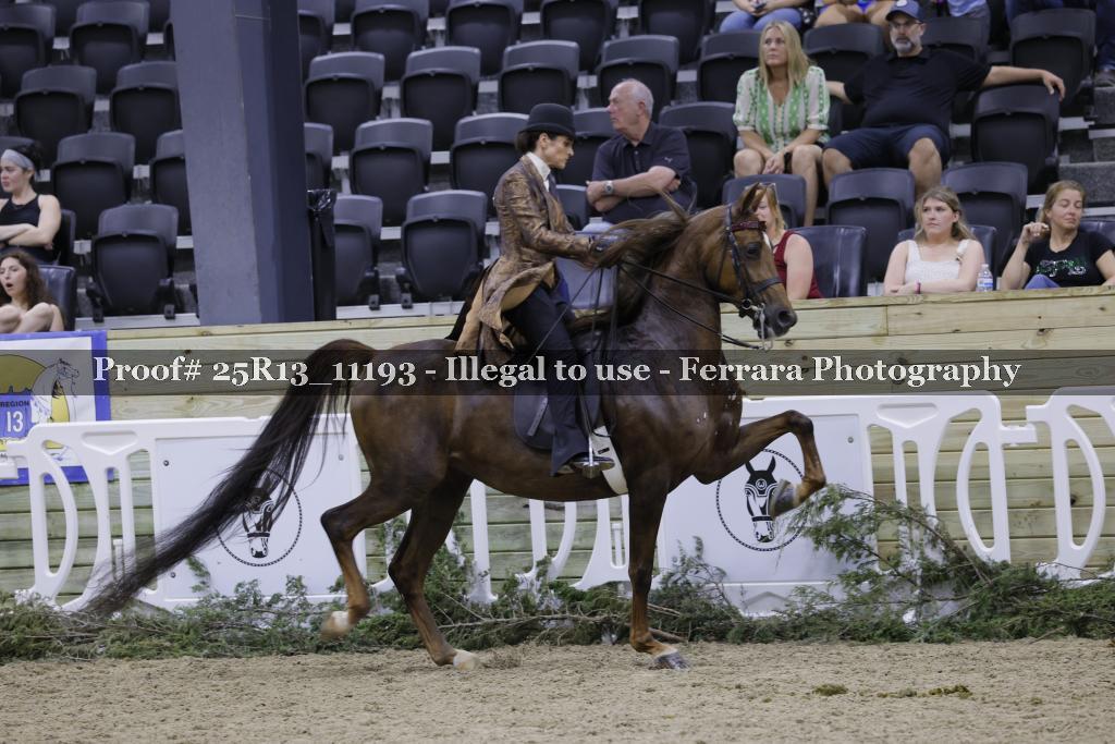Proof 25R13_11193