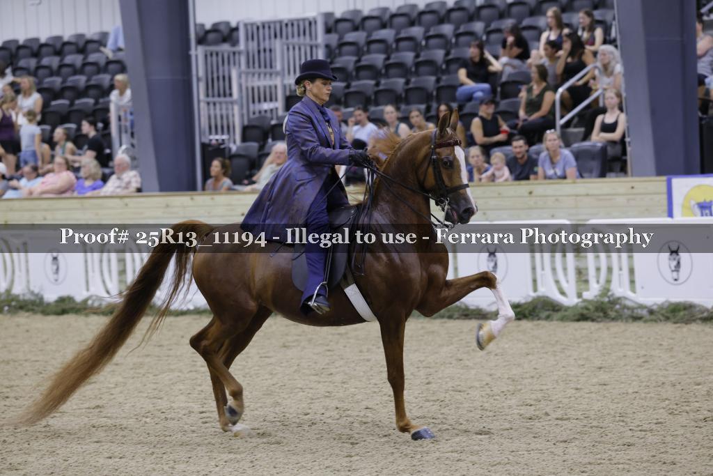 Proof 25R13_11194