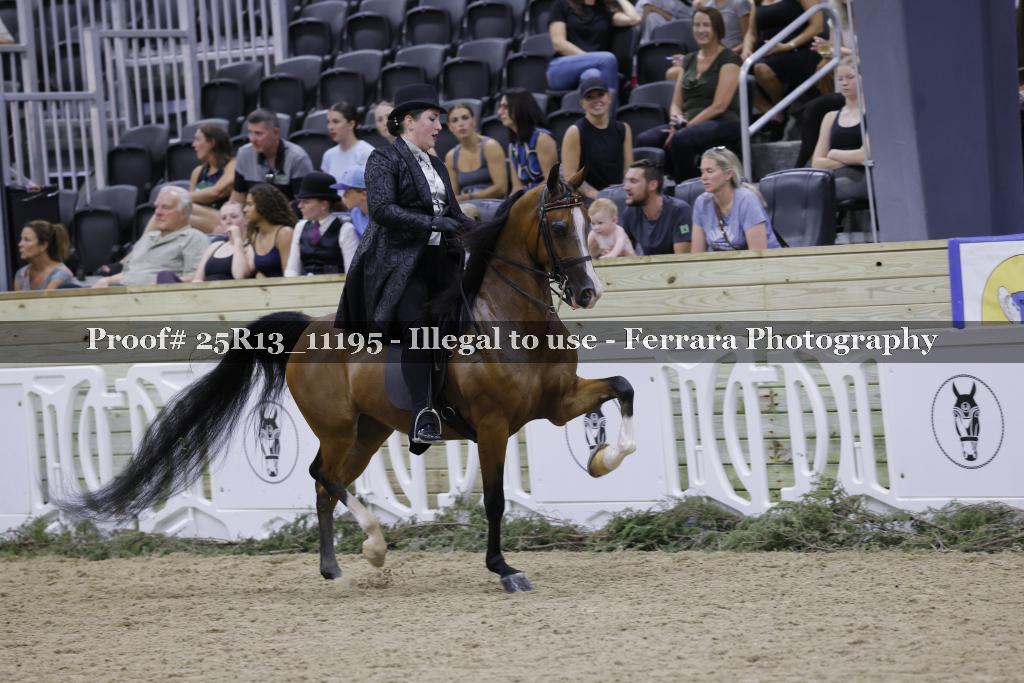 Proof 25R13_11195