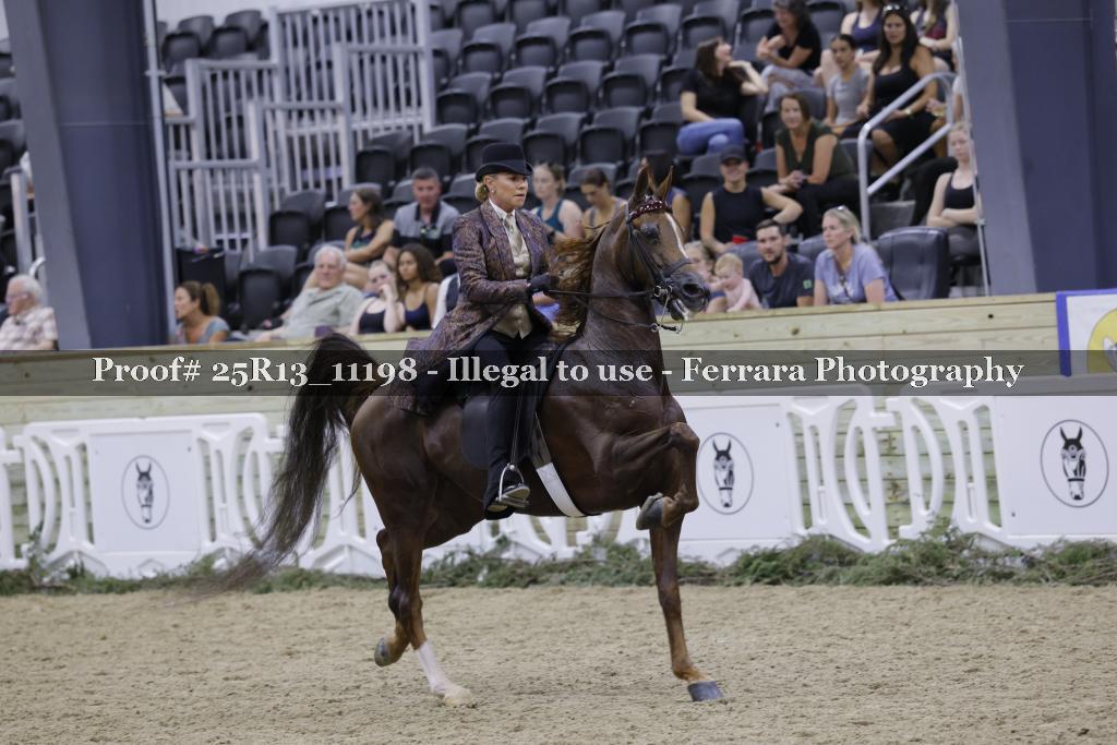 Proof 25R13_11198