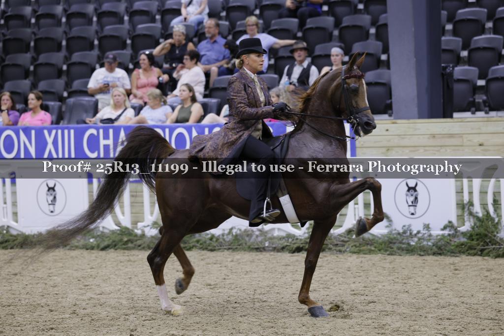 Proof 25R13_11199