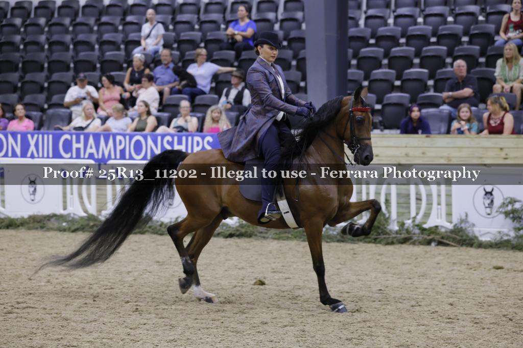 Proof 25R13_11202