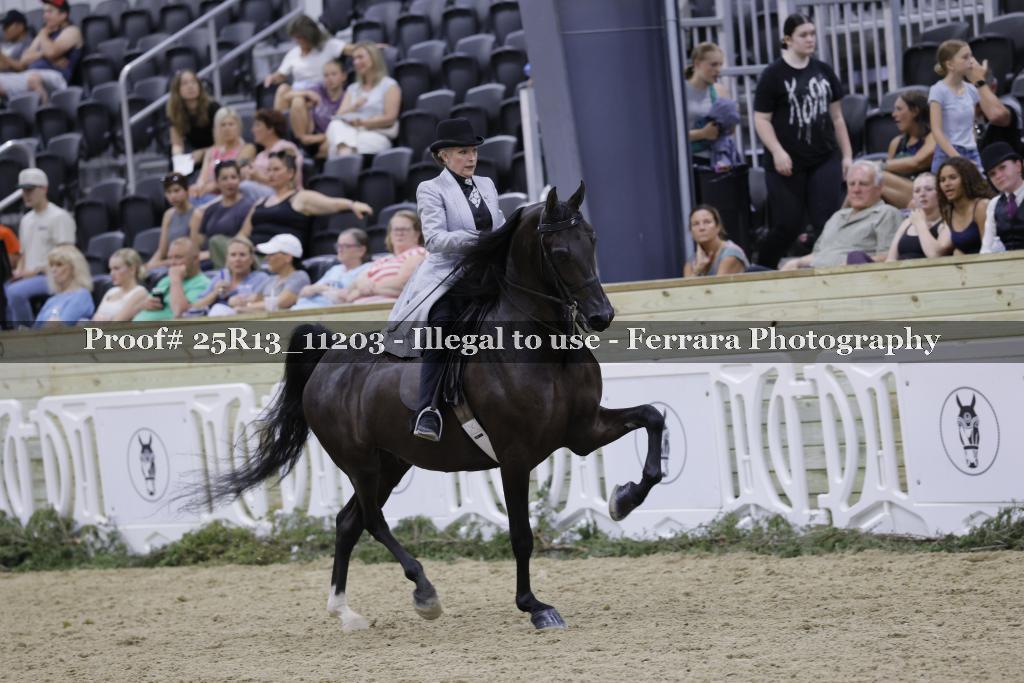 Proof 25R13_11203
