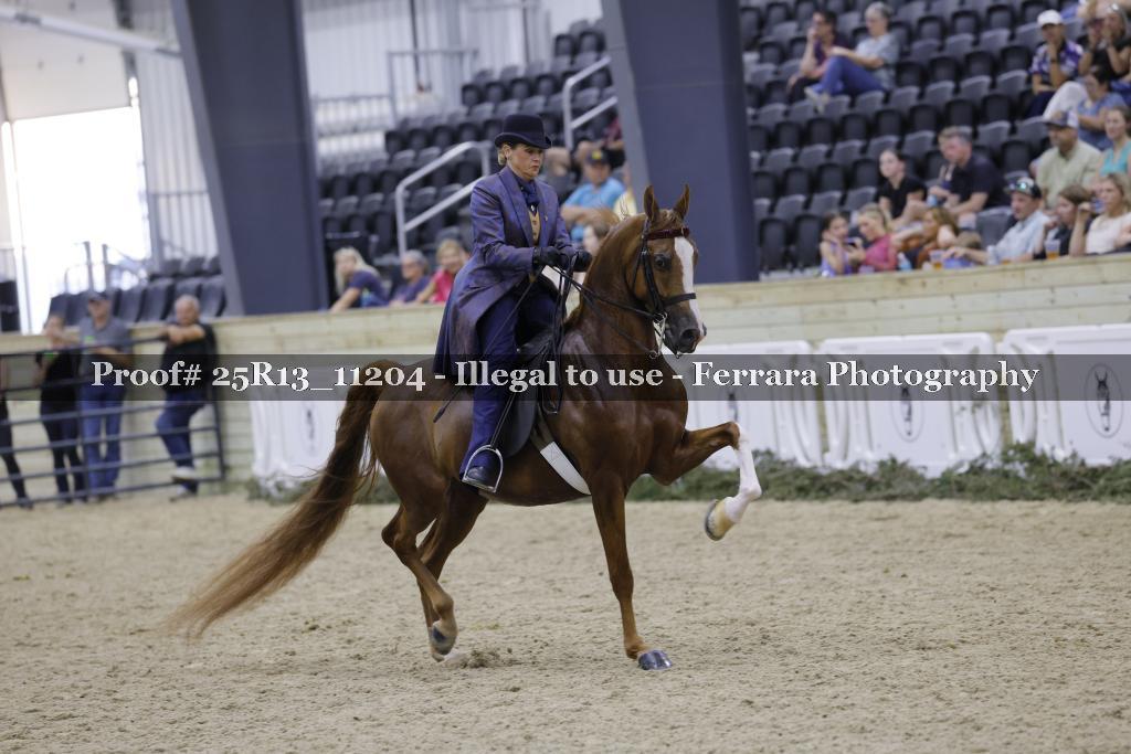 Proof 25R13_11204