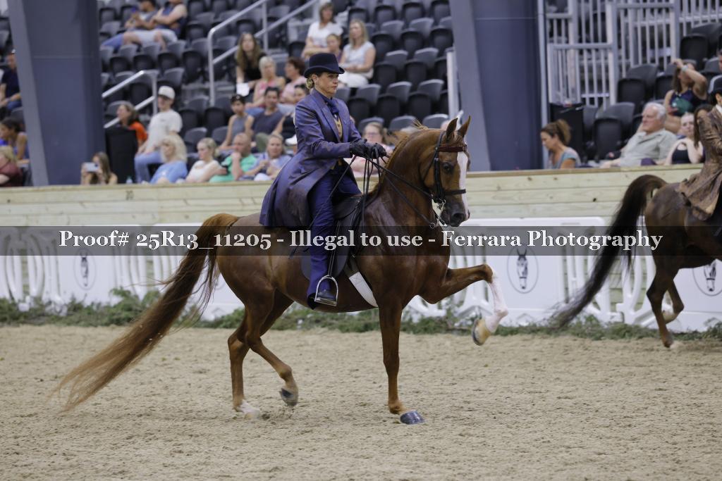 Proof 25R13_11205
