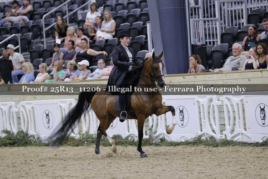 Proof 25R13_11206