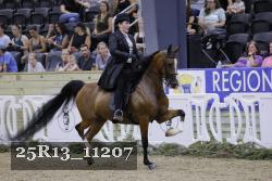 25R13_11207 proof