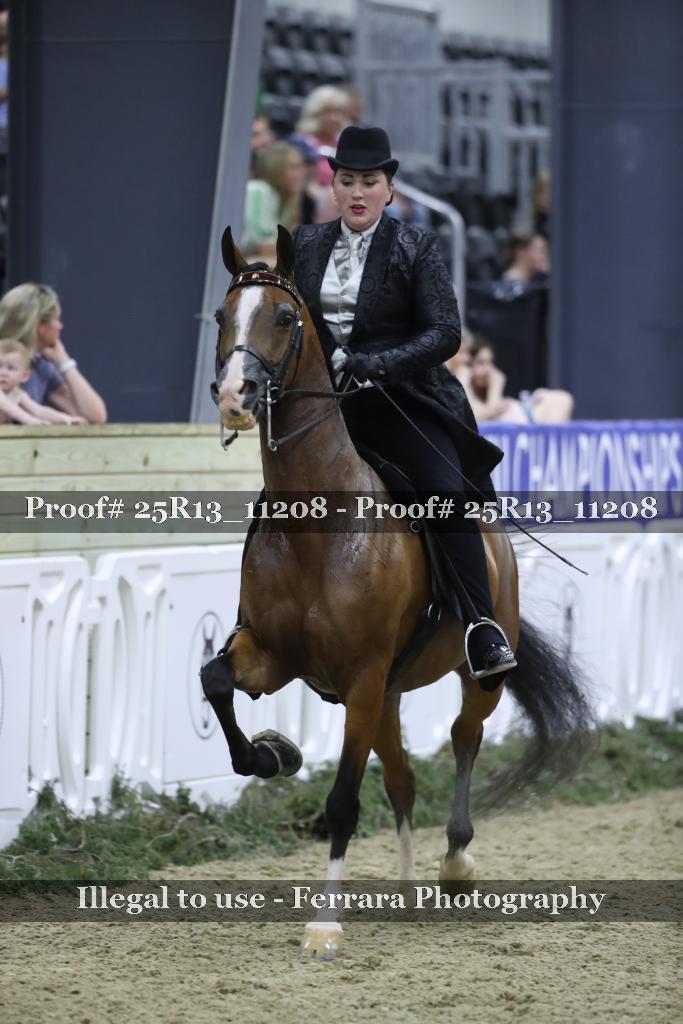 Proof 25R13_11208