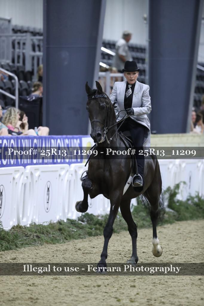 Proof 25R13_11209